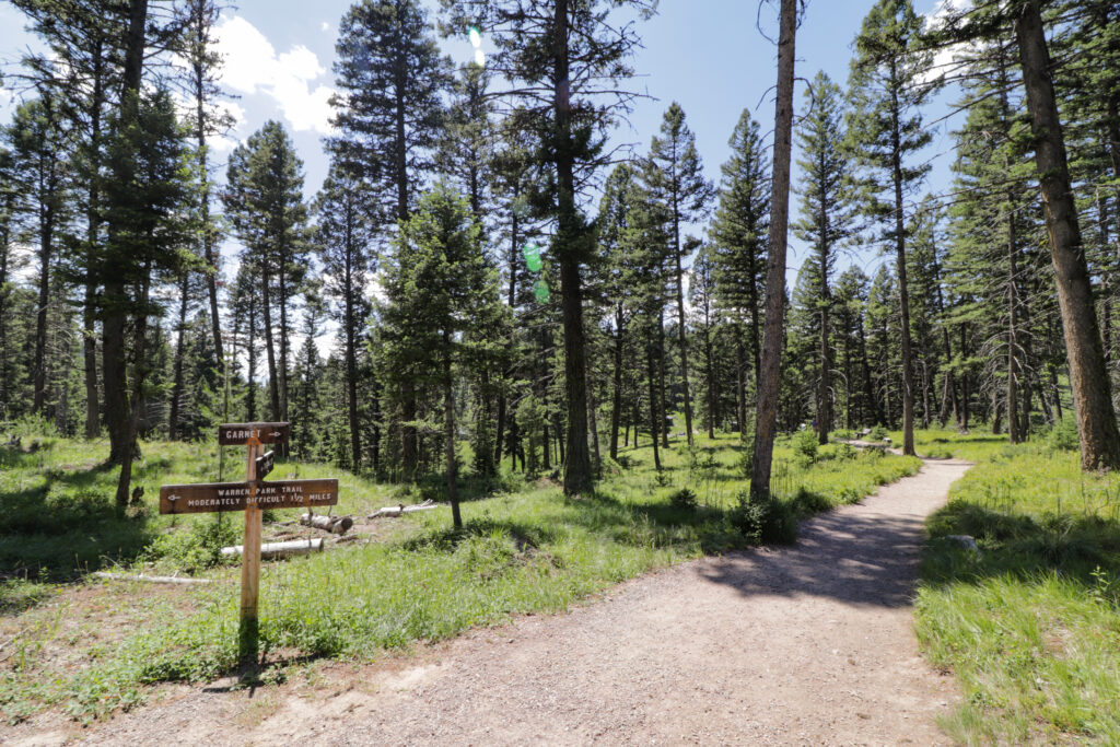 Hiking Trails in Garnet