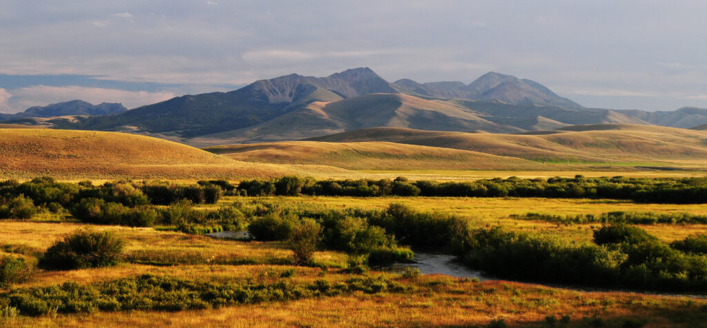 View of the Lima Peaks and Red Rock River.