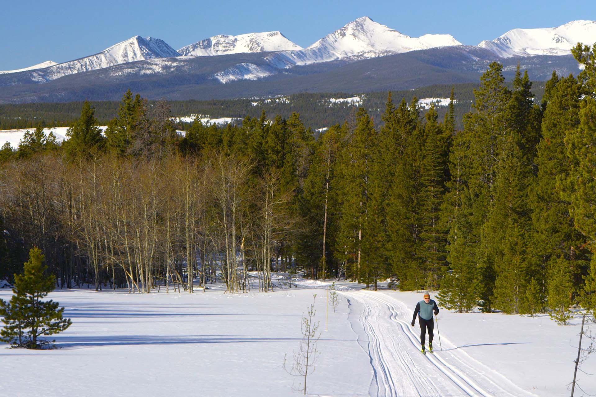 Cross-Country Skiing