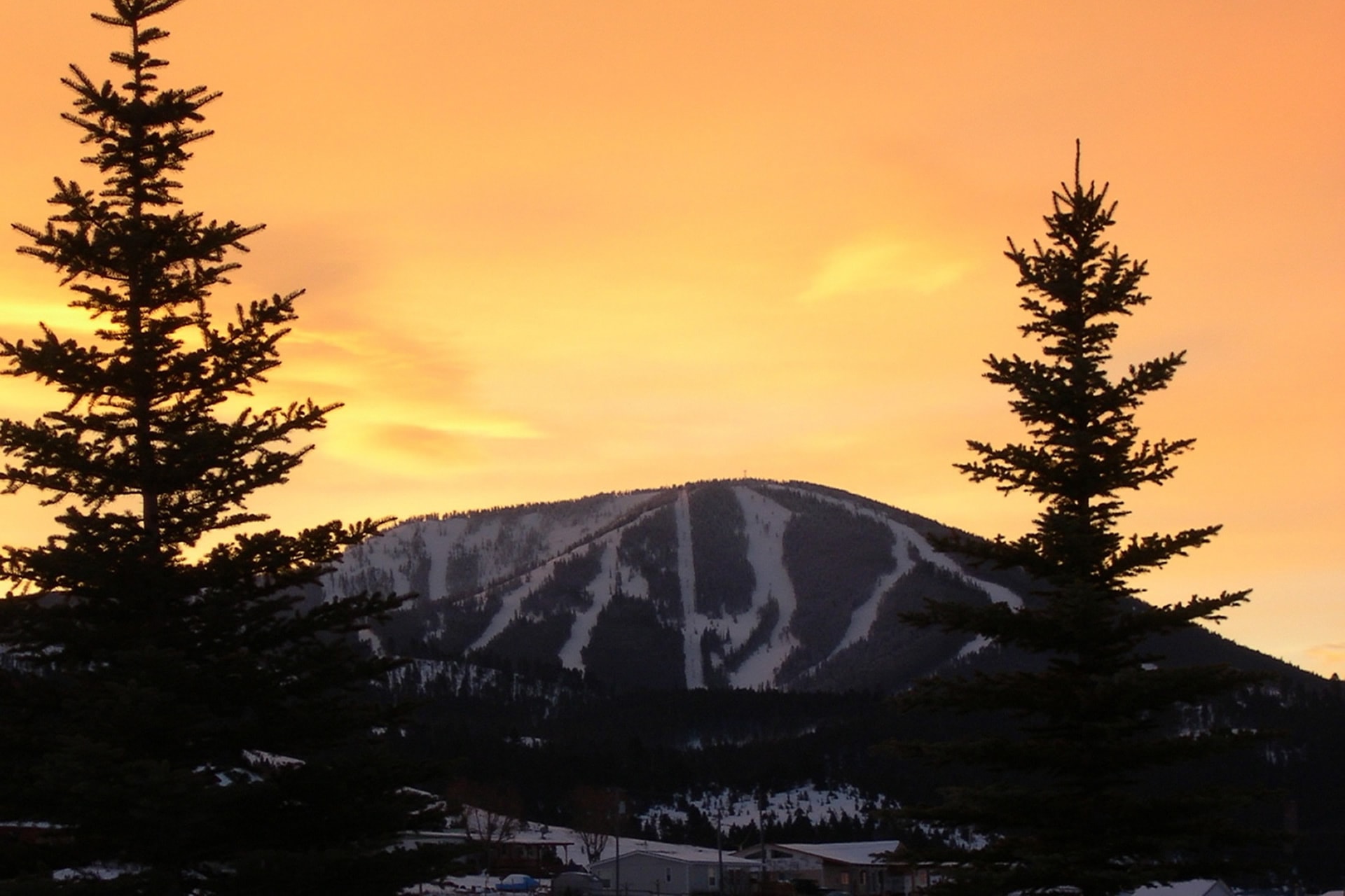 Skiing & Snowboarding