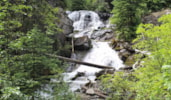 Lost Creek Falls Trail