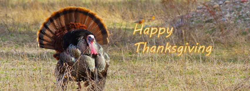 Happy Thanksgiving