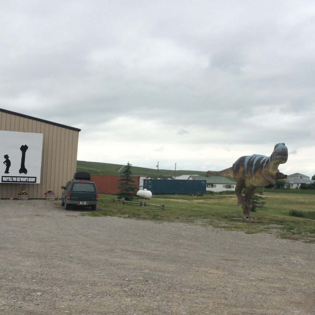 The Montana Dinosaur Center, Bynum Montana