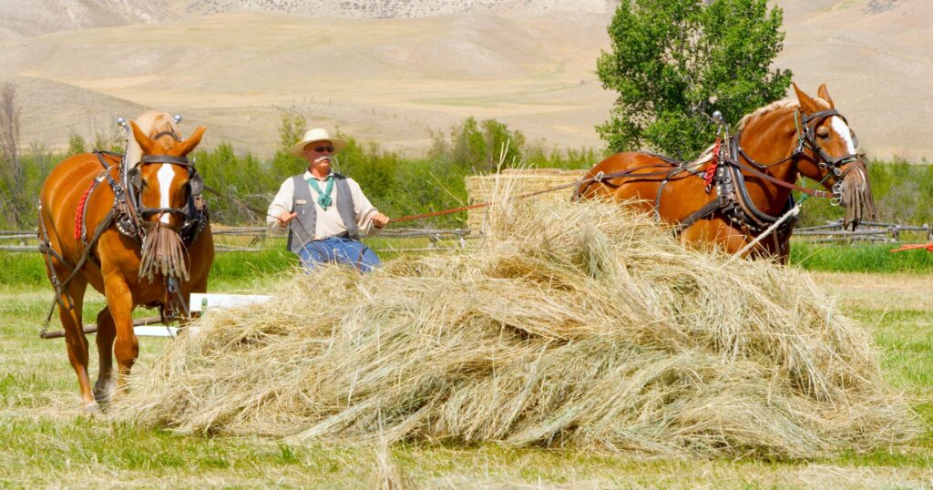 Grant-Kohrs National Historic Ranch