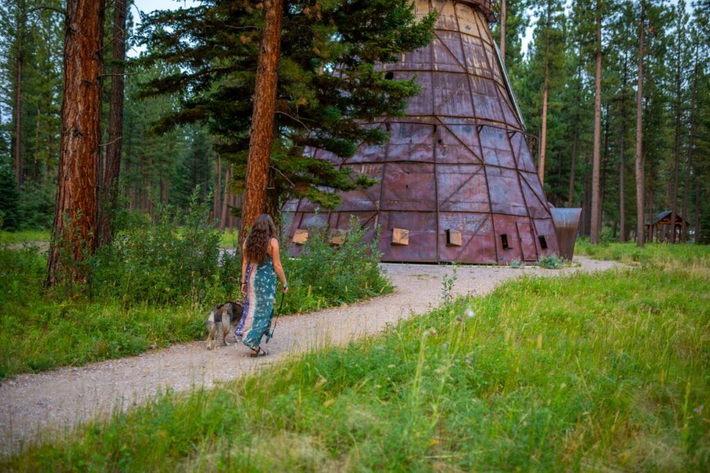 Sculpture in the Wild