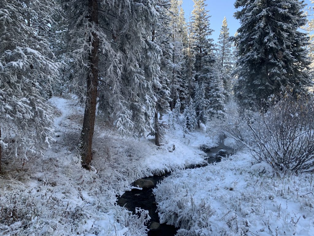 Elkhorn Hot Springs Foot Bridge