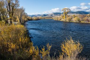 Madison River near Ennis, Montana