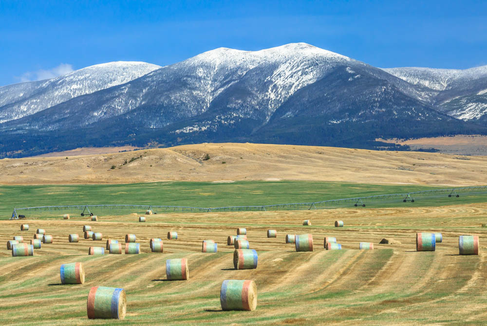 hay bales below mount baldy in the big belt mountains near townsend, montana