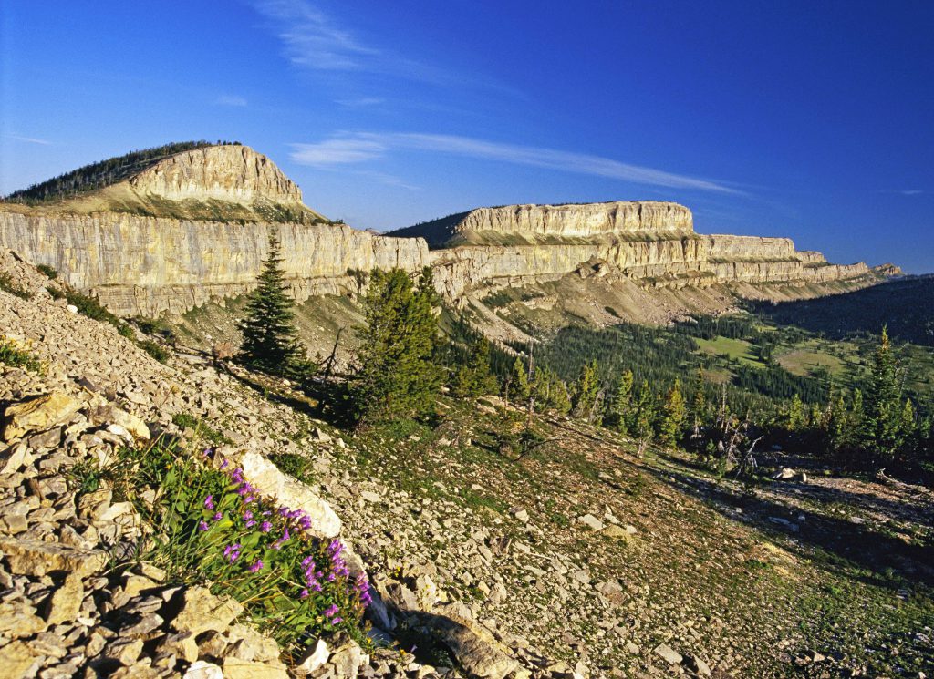 Bob Marshall Wilderness