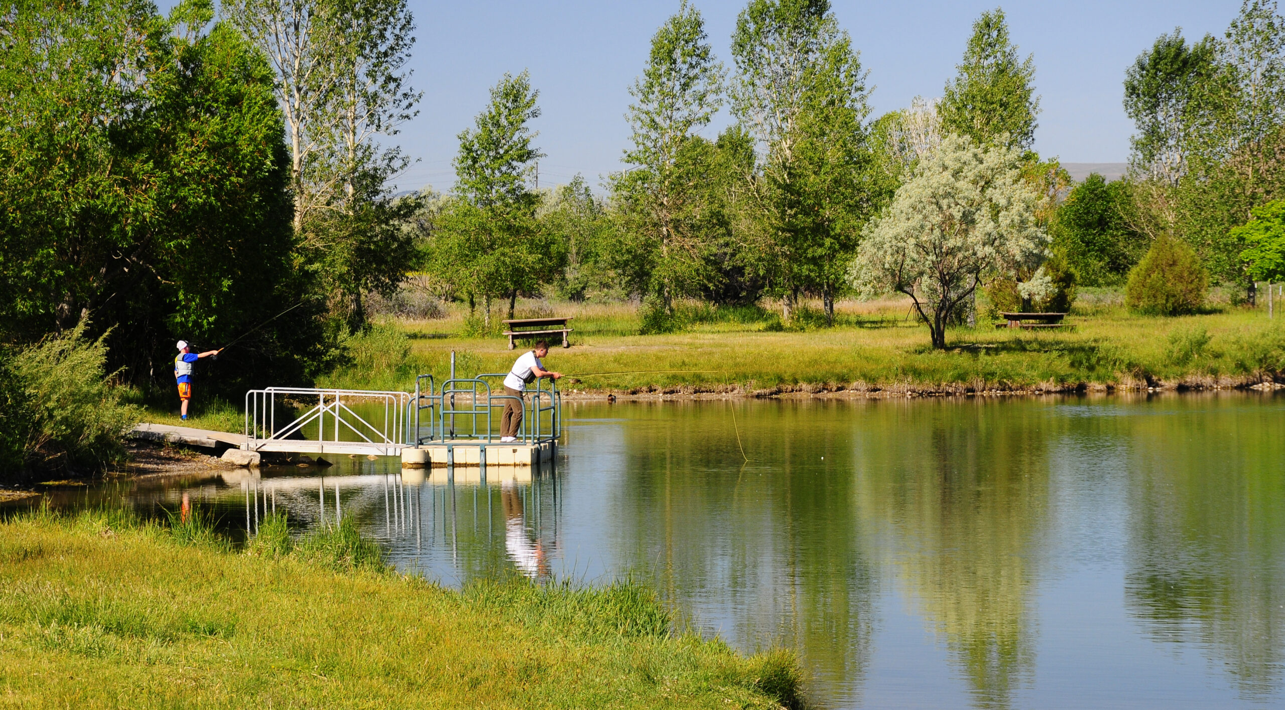 Fishing pond in Dillon