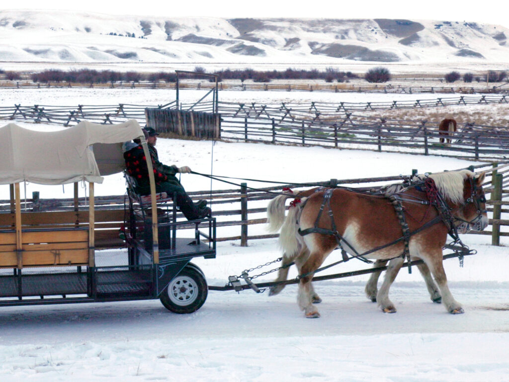 Horse-drawn wagon rides at Grant-Kohrs National Historic Ranch