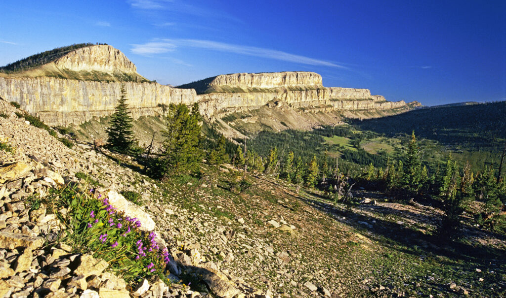 Chinese Wall in Montana's Bob Marshall Wilderness