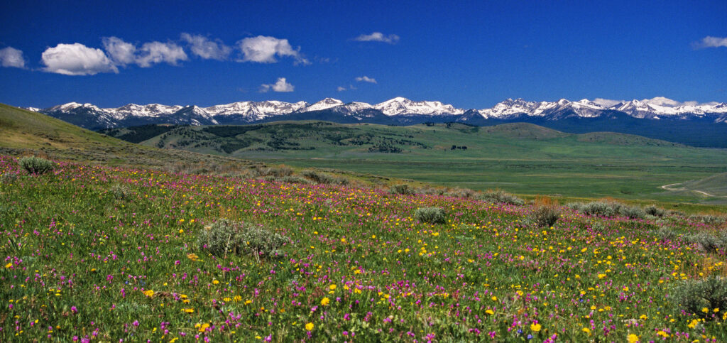 Big Hole Pass looking toward Montana's Beaverhead Range