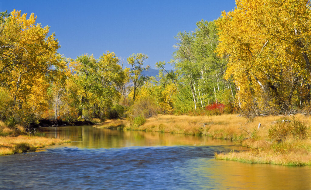Boulder River South of Boulder, Montana