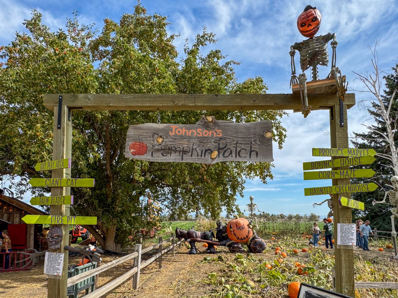 Johnson's Pumpkin Patch in Helena, Montana