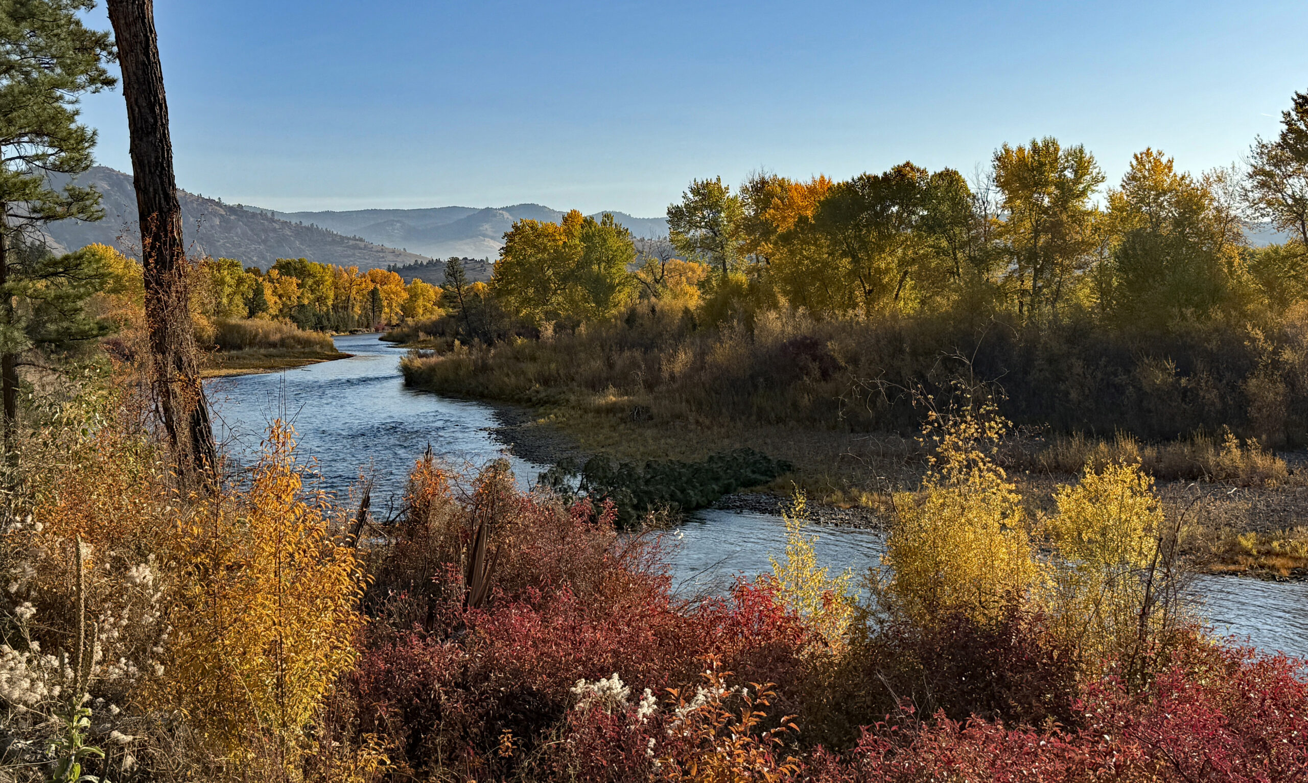Clark Fork River near Gold Creek, Montana