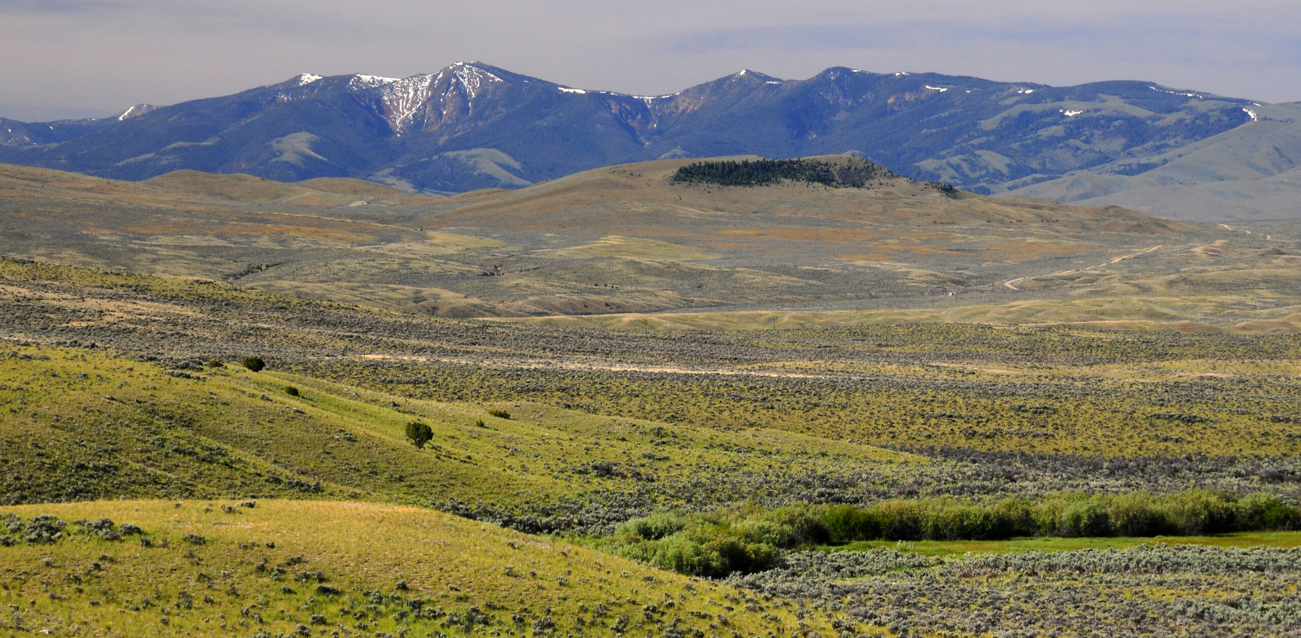Tendoy Mountains in Montana