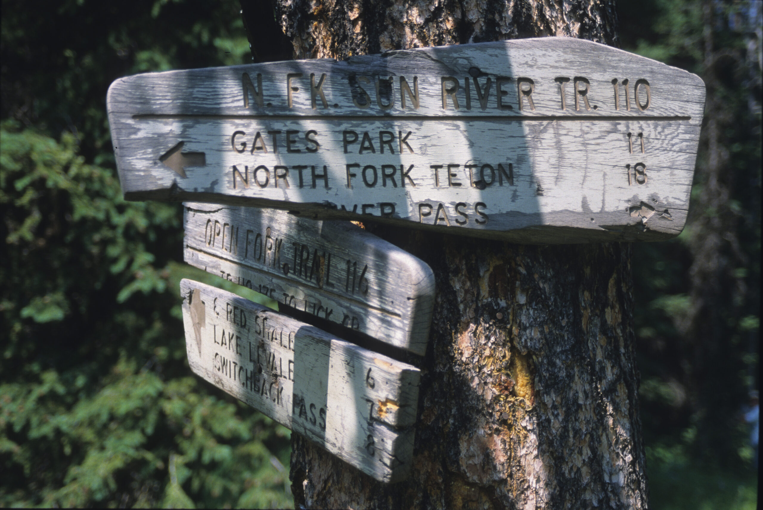 Trail sign in the Bob Marshall