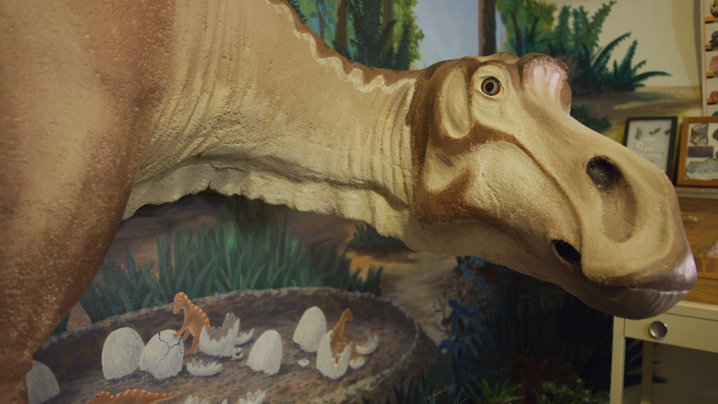 Maiasaura at the Old Trail Museum