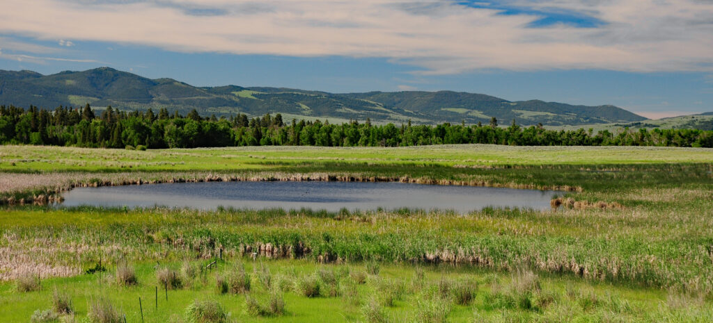 Blackfoot Waterfowl Protection Area West of Lincoln, Montana