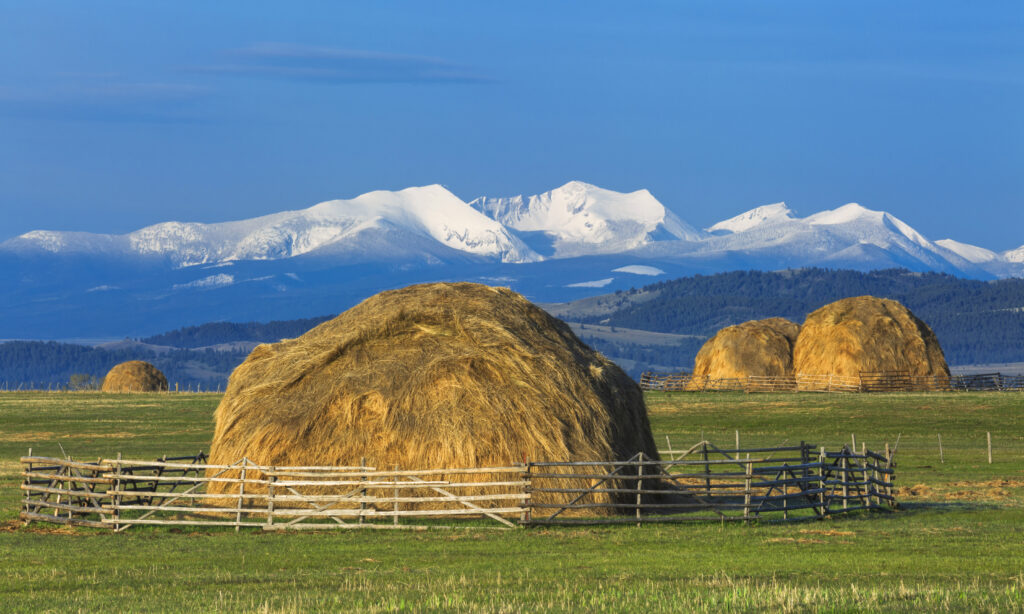 Flint Creek Range from the East, MT Powell on the Left.