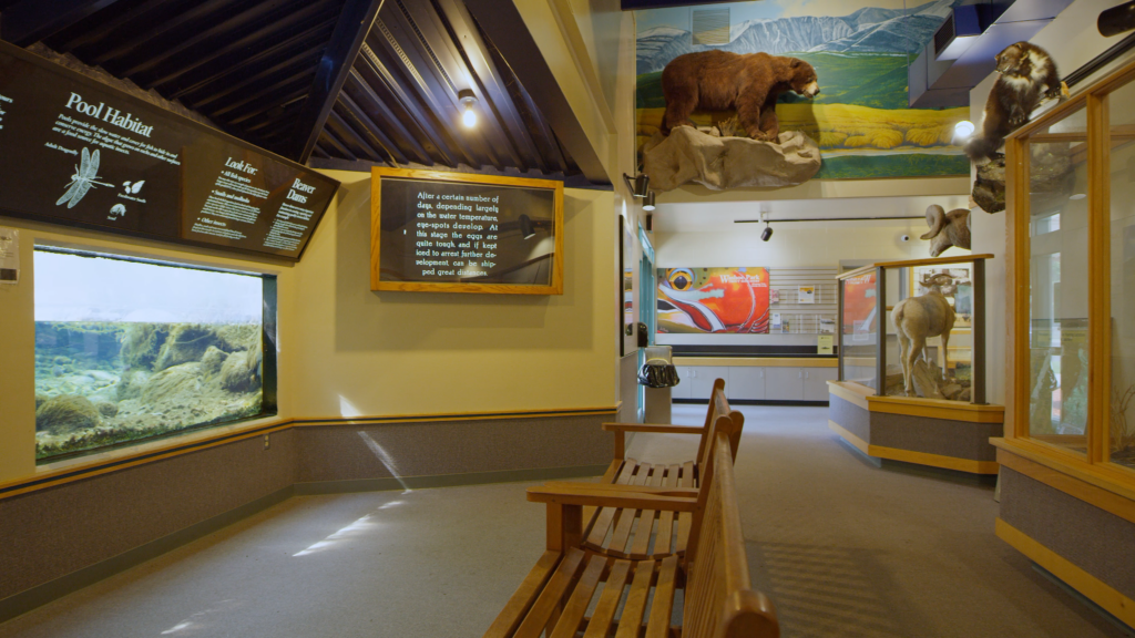 Family-friendly exhibits at Washoe Park Trout Hatchery in Anaconda, Montana | Photo by Tempest Technologies.