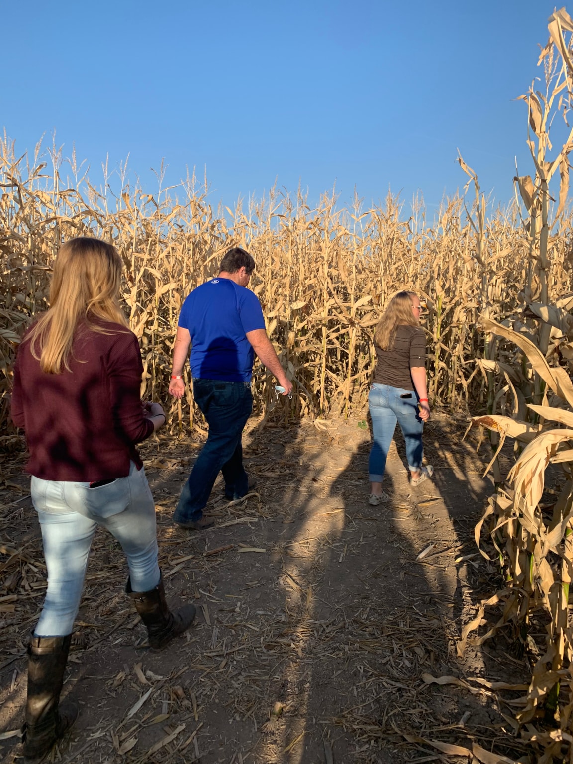 Edgewater Farms Corn Maze