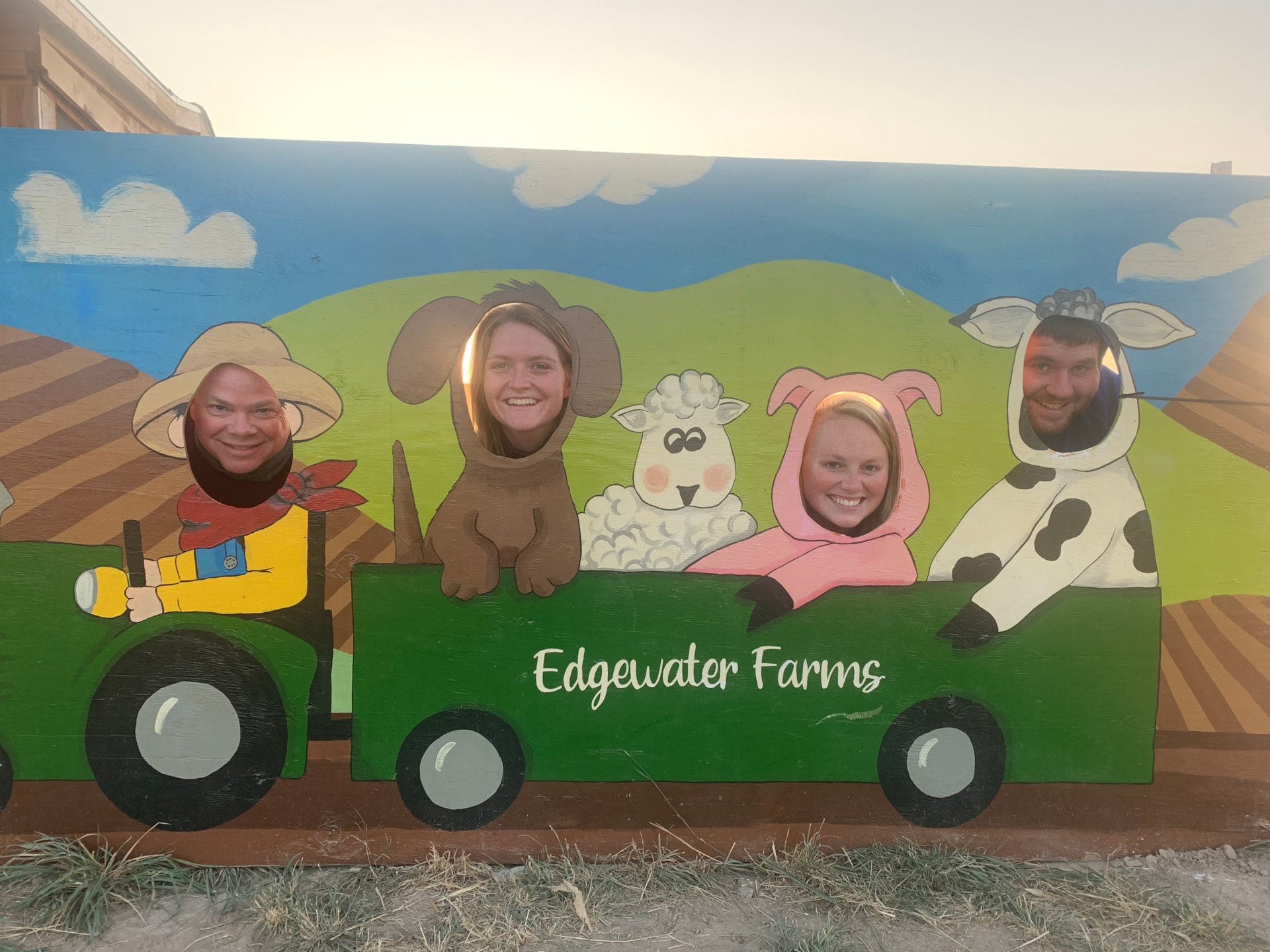 Edgewater Farms Corn Maze