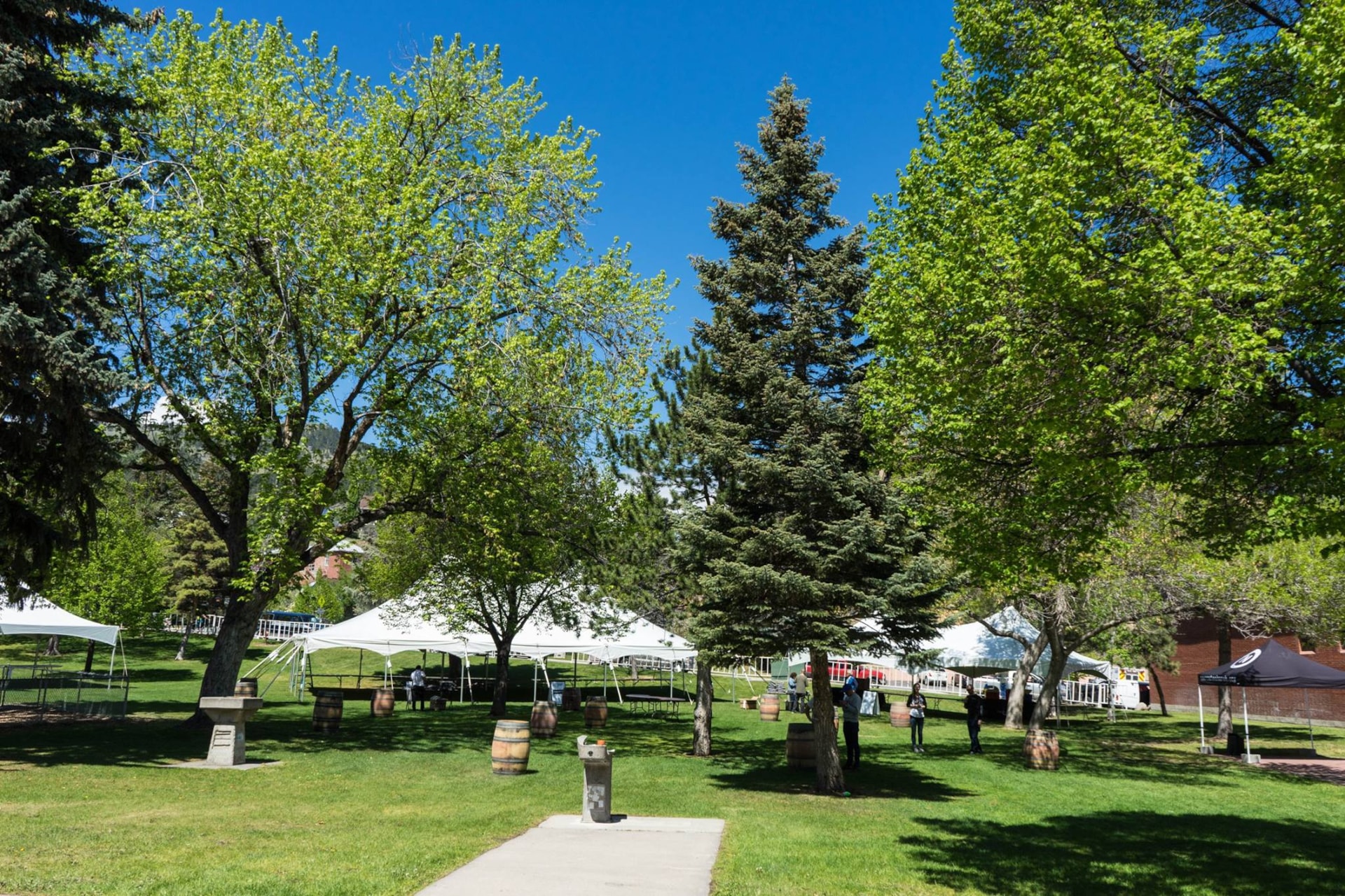 Ales for Trails, Helena