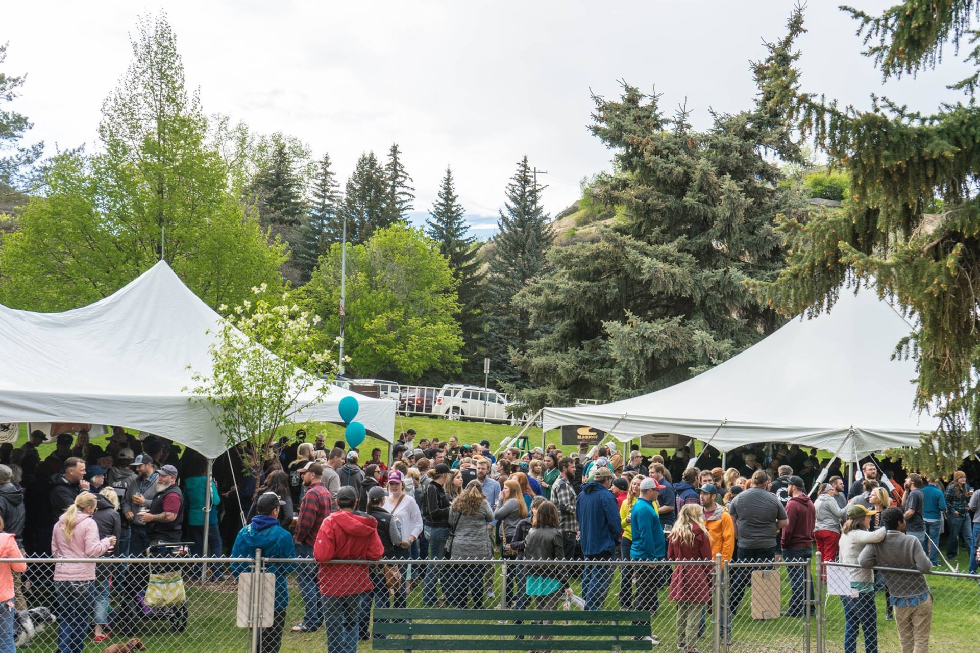 Ales for Trails, Helena