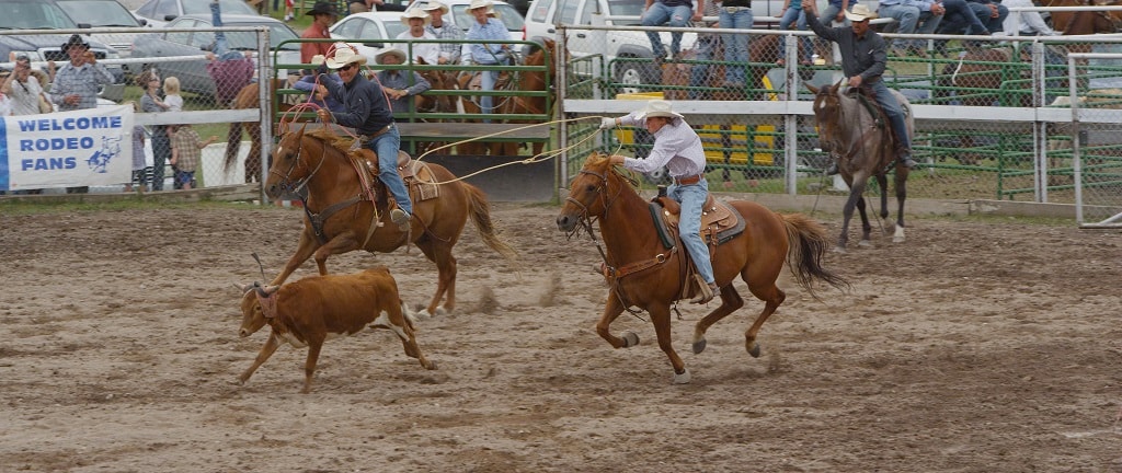 Montana's Biggest Weekend