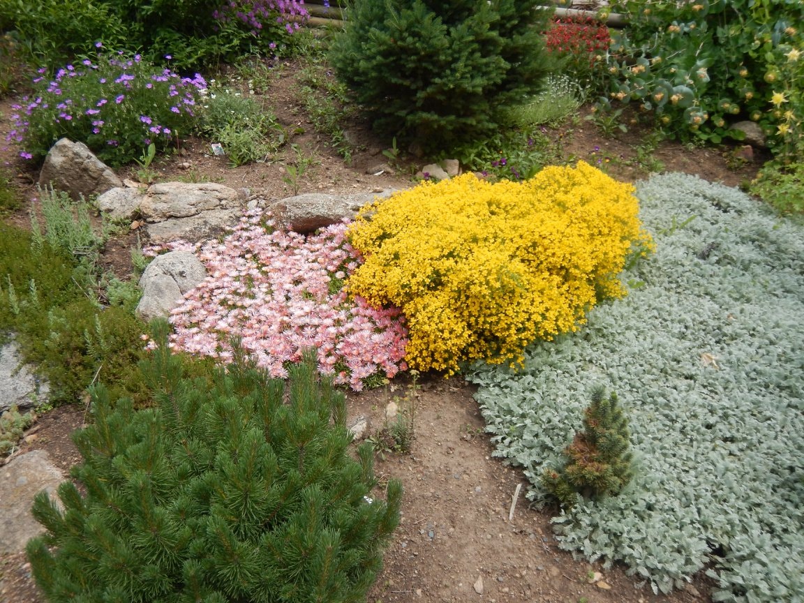 Mother's Day at Tizer Gardens