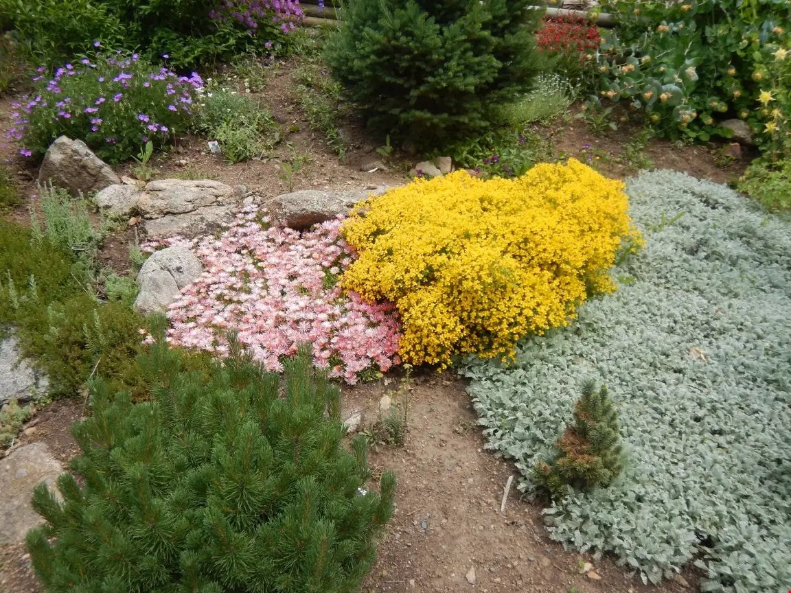 Father's Day at Tizer Gardens