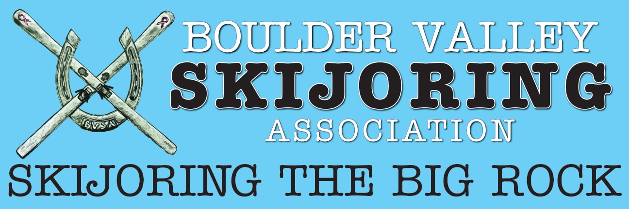 Skijoring The Big Rock