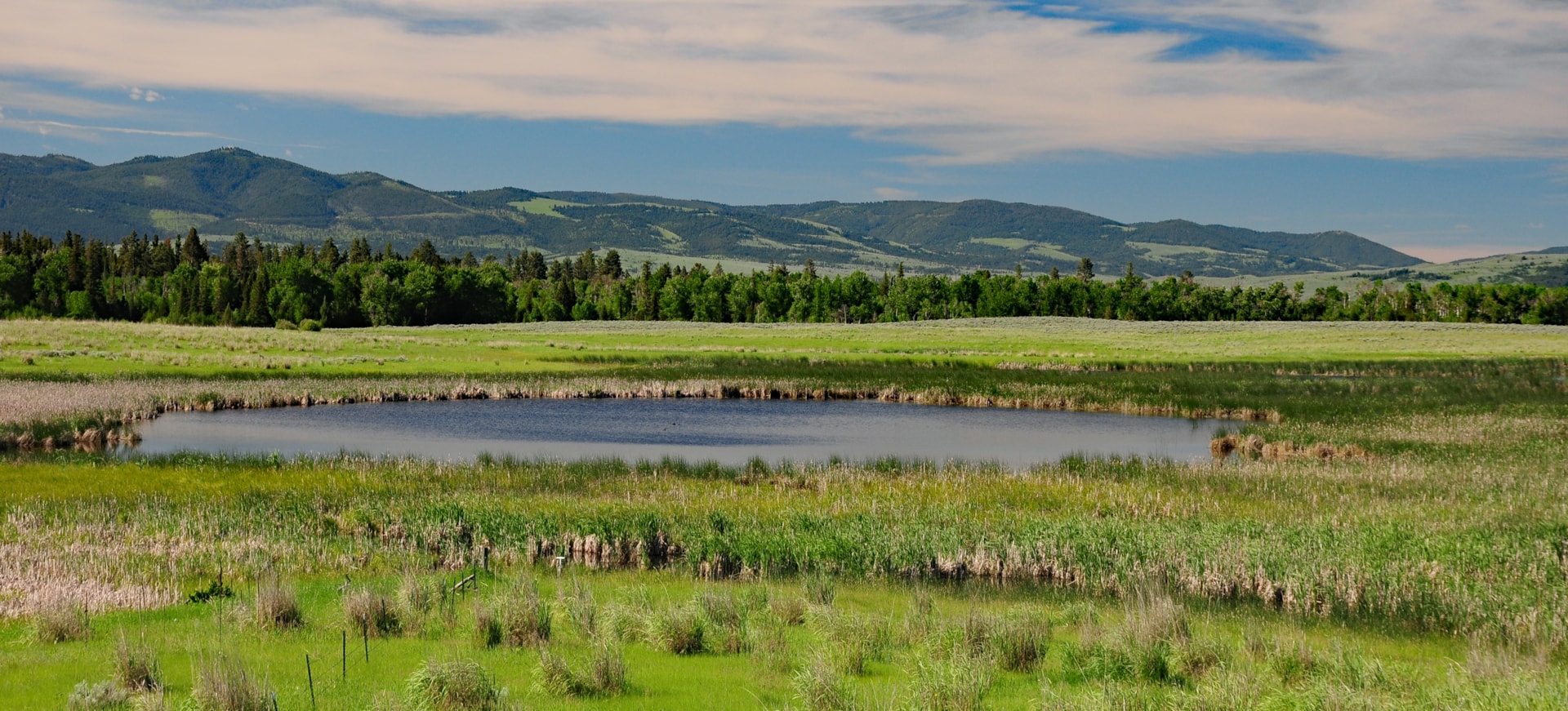 Blackfoot Waterfowl Protection Area